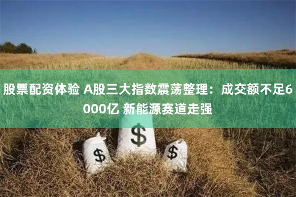 股票配资体验 A股三大指数震荡整理：成交额不足6000亿 新能源赛道走强