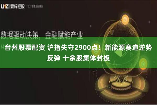 台州股票配资 沪指失守2900点！新能源赛道逆势反弹 十余股集体封板